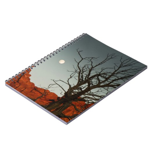 悪賢い月 ノートブック (左側)