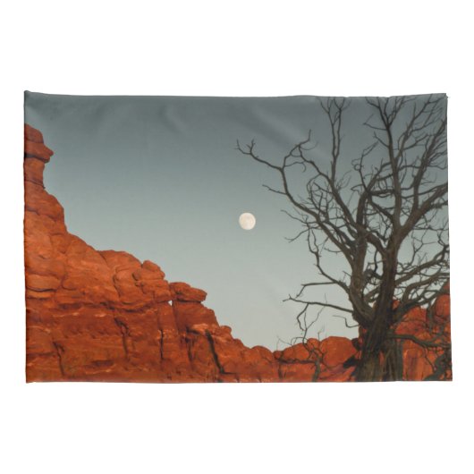 悪賢い月 枕カバー (裏面-右)