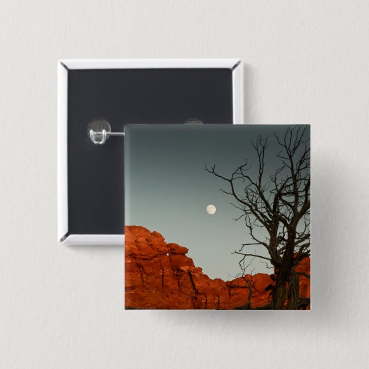 悪賢い月 缶バッジ (正面&裏面)