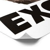 悪賢い陰謀アライグマ ポスター (角)