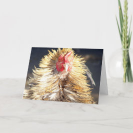 悪髪の日 カード