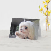 悪髪の日 カード (黄色い花)