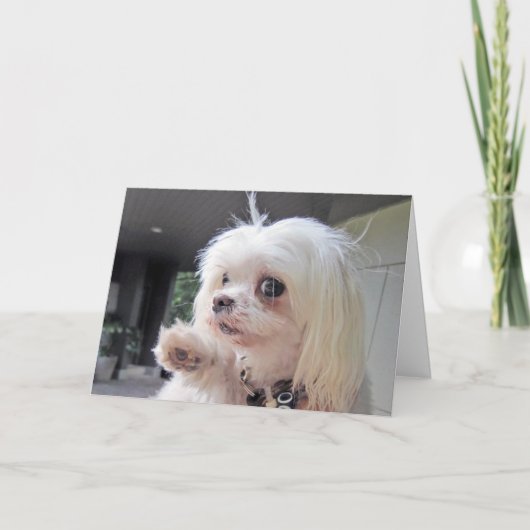 悪髪の日 カード (正面)