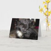 悪髪の日 カード (黄色い花)