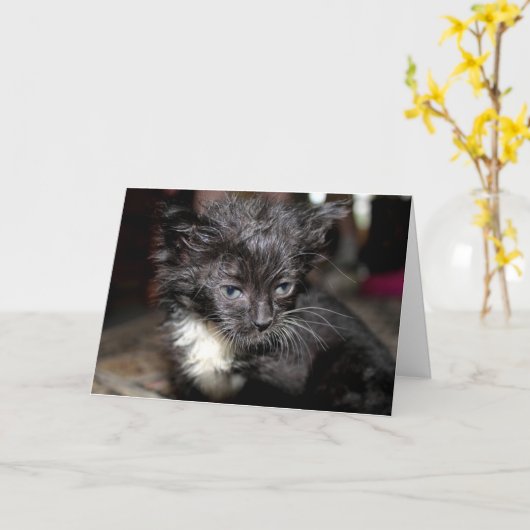 悪髪の日 カード (黄色い花)