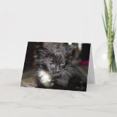 悪髪の日 カード (正面)