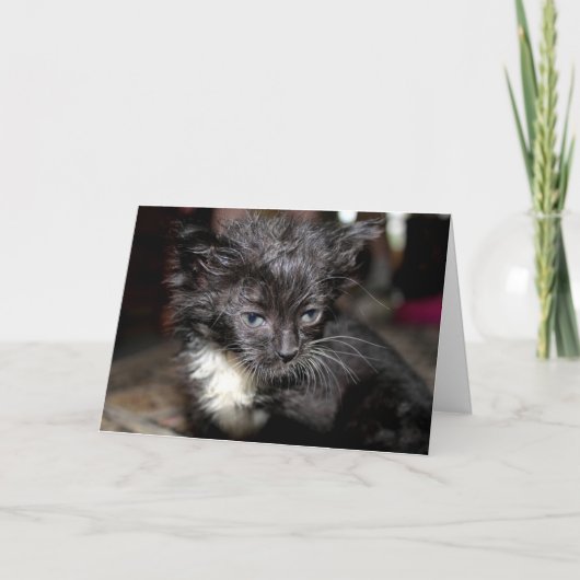 悪髪の日 カード (正面)