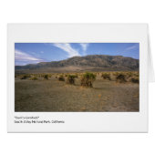 "悪魔とうもろこし畑" (正面横)