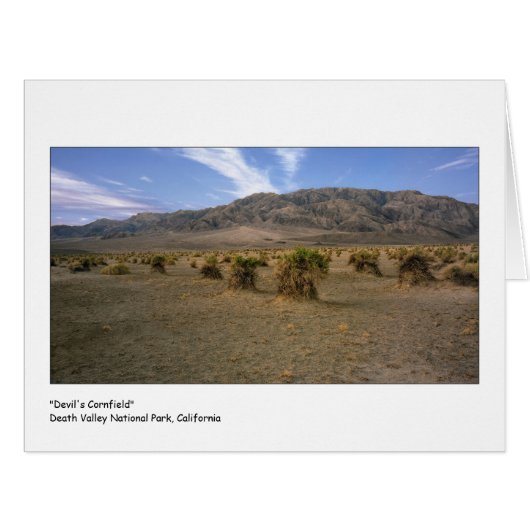 "悪魔とうもろこし畑" (正面横)