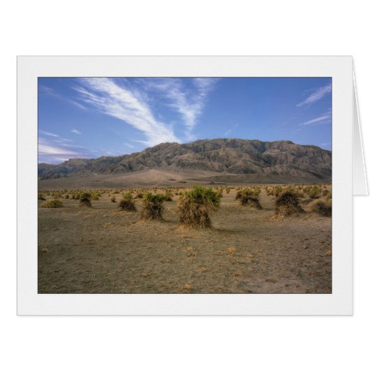 「悪魔のコーンフィールド」 (正面横)