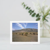 「悪魔のコーンフィールド」 ポストカード (スタンド正面)