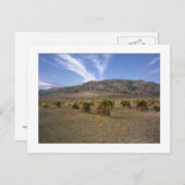 「悪魔のコーンフィールド」 ポストカード (正面/裏面)