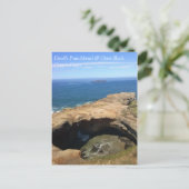 悪魔のパンクボウル&オッタロック、または ポストカード (スタンド正面)