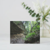 悪魔のパンクボウル ポストカード (スタンド正面)