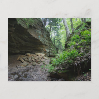 悪魔のパンクボウル ポストカード