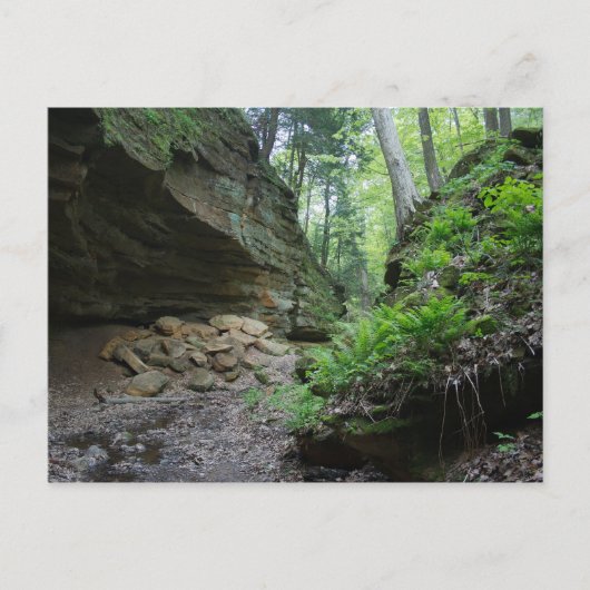 悪魔のパンクボウル ポストカード (正面)