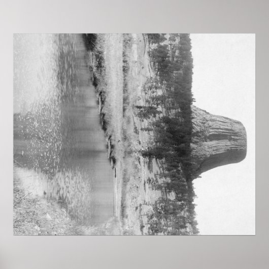 悪魔の塔と水の遠景 ポスター (正面)