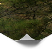 悪魔の塔 ポスター (角)