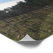 悪魔の塔、ワイオミングのポスター ポスター (角)