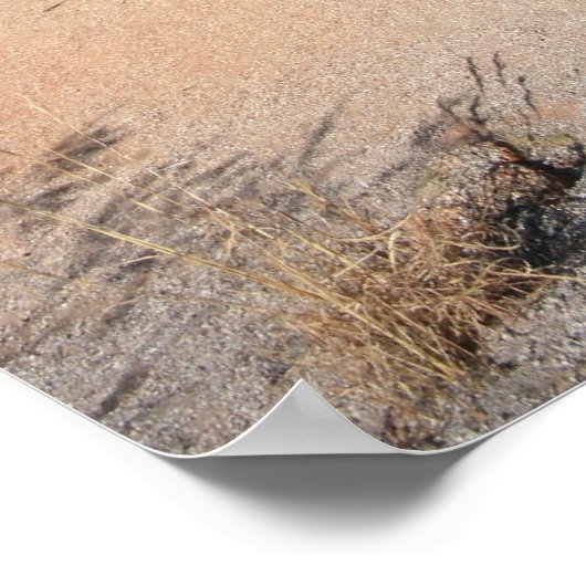 悪魔の大理石、オーストラリア ポスター (角)