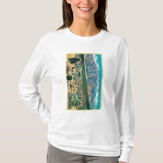 悪魔の庭からのMt.サンJacinto Tシャツ (正面)