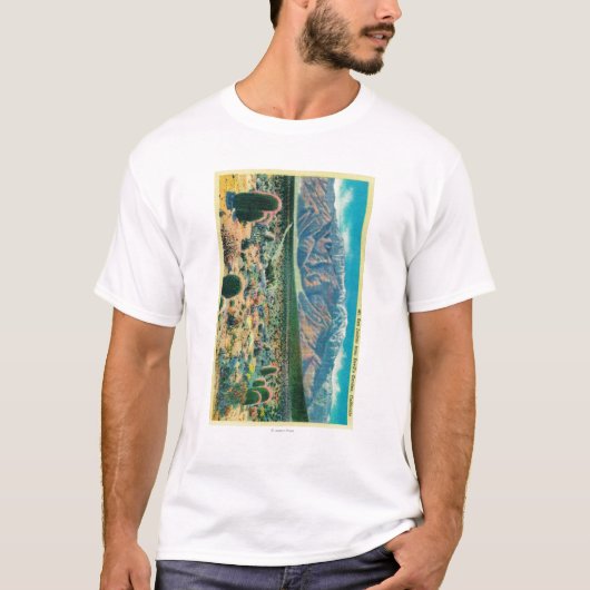 悪魔の庭からのMt.サンJacinto Tシャツ (正面)