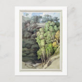 悪魔の橋, 1810 (ペンとインクを含む1810) ポストカード (正面)