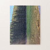 悪魔の湖、または ジグソーパズル (縦)