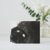 悪魔の猫 ポストカード (スタンド正面)
