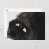悪魔の猫 ポストカード (正面/裏面)