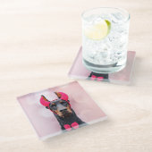 悪魔の衣装を着たドバーマン ガラスコースター (アングル)