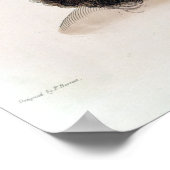 悪魔の首長 ポスター (角)