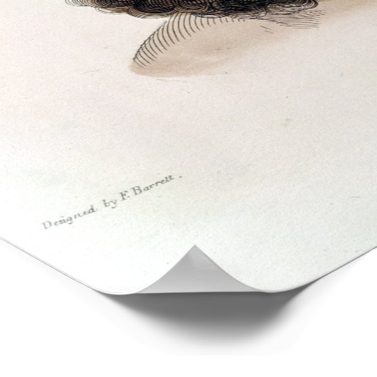 悪魔の首長 ポスター (角)