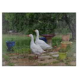 悪魔はガラスまな板を引込めます カッティングボード