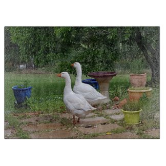 悪魔はガラスまな板を引込めます カッティングボード