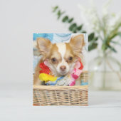 悪 – ロングヘアチワワ–5 ポストカード (スタンド正面)