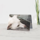 悲しいかわいい白い子犬の損失のために残念な悔やみや弔慰 カード (裏面)