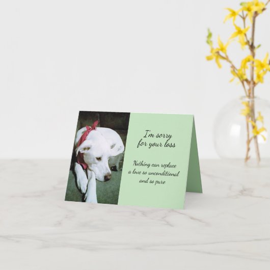 悲しいかわいい白犬の損失を申し訳なく悔やみや弔慰 カード (黄色い花)