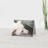 悲しいかわいい白犬の損失を申し訳なく悔やみや弔慰 カード (裏面)