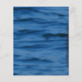 悲しいほど人魚のアットいかり (裏面)