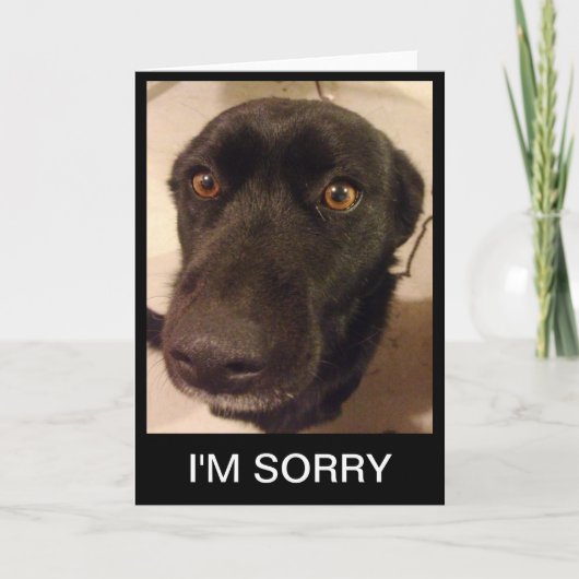 悲しいカード私は悪い カード (正面)