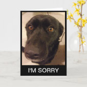 悲しいカード私は悪い カード (黄色い花)