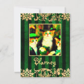 悲しいキャットニップではないクローバーサンキャトリックの日猫 ノートカード (正面)