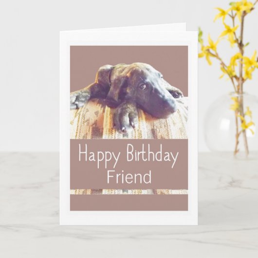 悲しいグレートデーンの小犬のおもしろいな年齢の友人 カード (黄色い花)