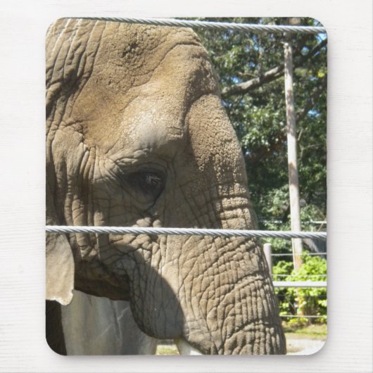 悲しいゾウ マウスパッド (正面)