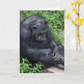 悲しいチンパ恋しく思ンジー カード (黄色い花)