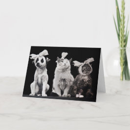 悲しいトリオ、ブランク中 カード