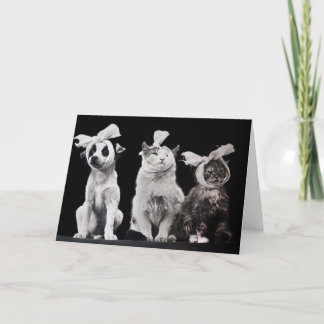 悲しいトリオ、ブランク中 カード