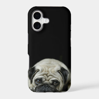 悲しいパグのiphone 5の場合