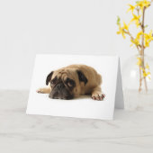 悲しいパグ カード (黄色い花)